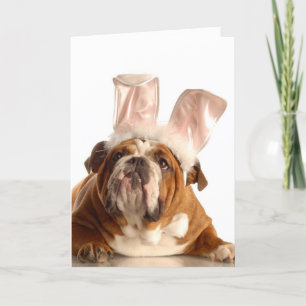Het Wenskaart van de Hond van Pasen Feestdagen Kaart