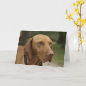 Het Wenskaart van de Hond van Ridgeback van Kaart (Gele Bloem)