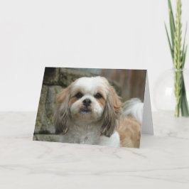 Het Wenskaart van de Humor van het Huisdier "uit Kaart