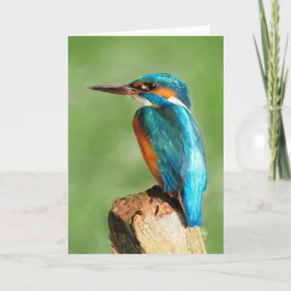 Het Wenskaart van de ijsvogel Kaart