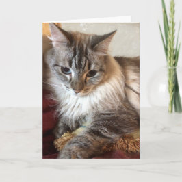 Het wenskaart van de kat bedankkaart