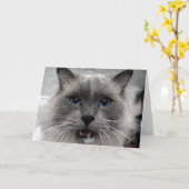 Het wenskaart van de kat kaart (Gele Bloem)