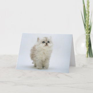 Het Wenskaart van de kat Kaart