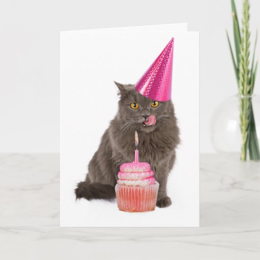 Het Wenskaart van de Kat van de Partij van de Kaart (Voorkant)