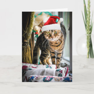 Het Wenskaart van de Kat van de vakantie Feestdagen Kaart