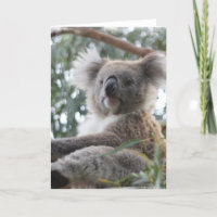 Het Wenskaart van de koala