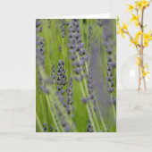 Het Wenskaart van de lavendel Kaart (Gele Bloem)