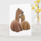Het Wenskaart van de Liefde van de alpaca Kaart (Gele Bloem)
