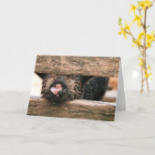 Het Wenskaart van de Neus van het biggetje - Kaart (Gele Bloem)