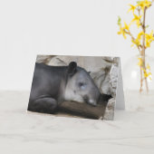 Het Wenskaart van de Tapir van Baird Kaart (Gele Bloem)
