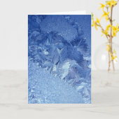 Het Wenskaart van de Veren van de vorst Kaart (Gele Bloem)