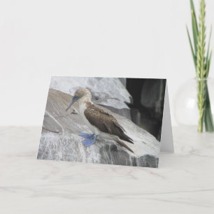 Het Wenskaart van de vogel Kaart