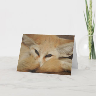 Het Wenskaart van de Vos van Fennec Kaart