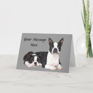 Het Wenskaart van de Vrienden van Boston Terrier Feestdagen Kaart