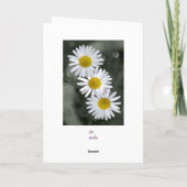 Het Wenskaart van drie Madeliefjes Kaart (Achterkant)