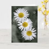 Het Wenskaart van drie Madeliefjes Kaart (Gele Bloem)