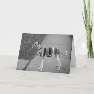 Het Wenskaart van Enzo Kaart