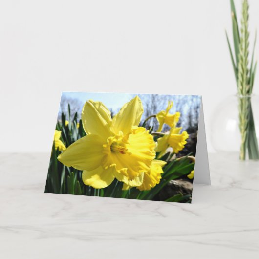 Het Wenskaart van gele narcissen, Spatie binnen Kaart (Voorkant)