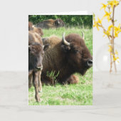 Het Wenskaart van het Afbeelding van buffels Kaart (Gele Bloem)