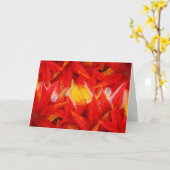 het wenskaart van het lakotagebed kaart (Gele Bloem)