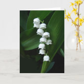 Het wenskaart van het lelietje-van-dalen kaart (Gele Bloem)