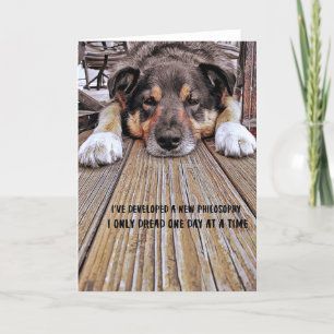 HET WENSKAART VAN HET LEVEN VAN EEN HOND BEDANKKAART