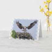 Het Wenskaart van het Nest van de visarend Kaart (Gele Bloem)