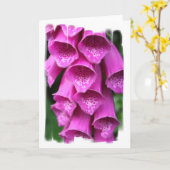 Het Wenskaart van het Plant van de digitalis Kaart (Gele Bloem)