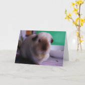 Het Wenskaart van het proefkonijn Kaart (Gele Bloem)