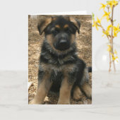 Het Wenskaart van het Puppy van de herder Kaart (Gele Bloem)