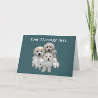 Het Wenskaart van het "puppy" van Frise van Bichon