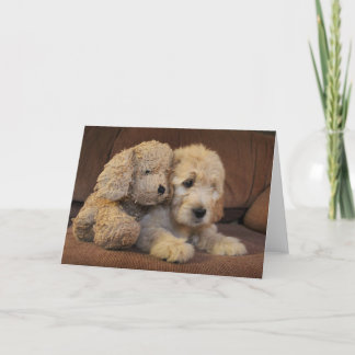 Het Wenskaart van het Puppy van Goldendoodle Kaart