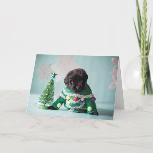 Het Wenskaart van het Puppy van het elf Feestdagen Kaart (Voorkant)