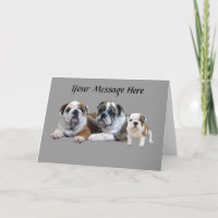 Het Wenskaart van het Trio van de buldog