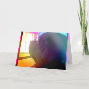 Het Wenskaart van het Verlies van het huisdier Kaart