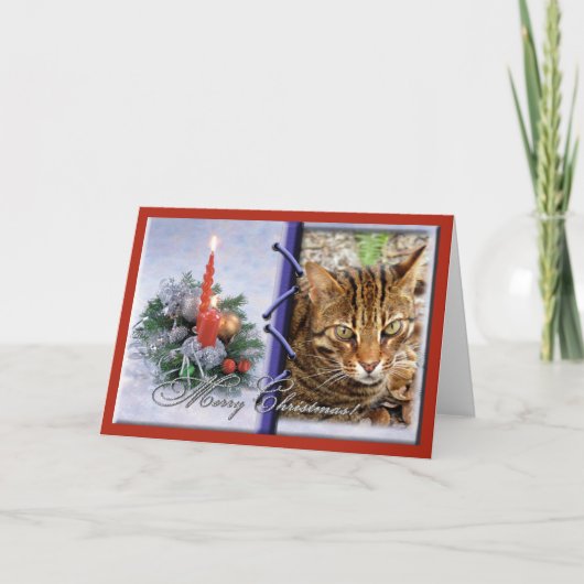Het Wenskaart van Kerstmis van de Kat van Bengalen Feestdagen Kaart (Voorkant)