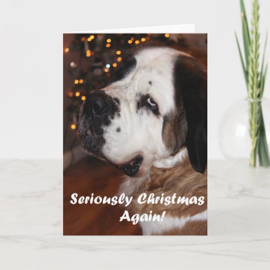 Het wenskaart van Kerstmis van de sint-bernard Feestdagen Kaart (Voorkant)