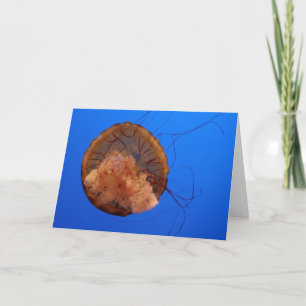 Het Wenskaart van kwallen Kaart