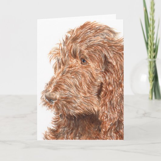 Het Wenskaart van Labradoodle van de chocolade #2 Kaart (Voorkant)