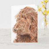 Het Wenskaart van Labradoodle van de chocolade #2 Kaart (Gele Bloem)