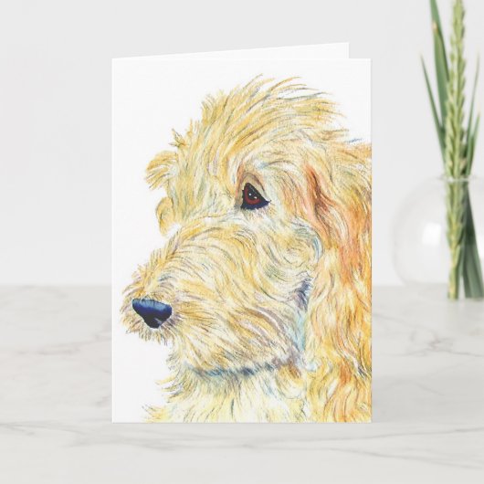 Het Wenskaart van Labradoodle van de room #2 Kaart (Voorkant)