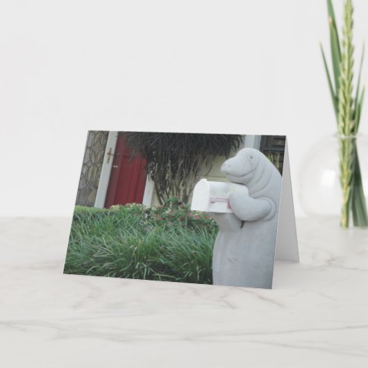 Het Wenskaart van Manatee Kaart (Voorkant)