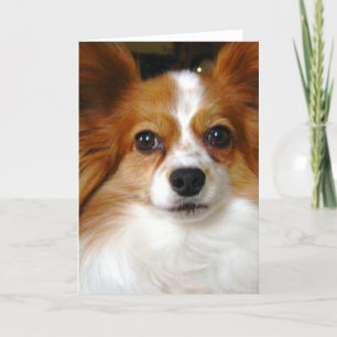 Het Wenskaart van Papillon Kaart