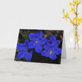 Het Wenskaart van Polemonium Kaart (Gele Bloem)