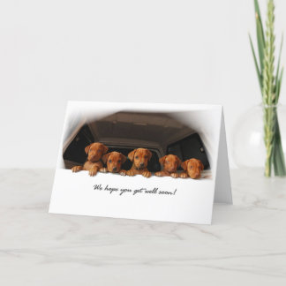 Het wenskaart van Ridgeback van Rhodesian - word Kaart