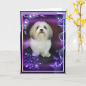 Het Wenskaart van ShihTzu Kaart (Gele Bloem)