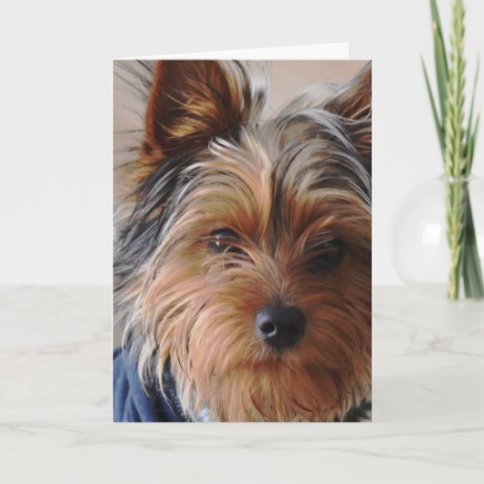 Het Wenskaart van Terrier van Yorkie Kaart (Voorkant)