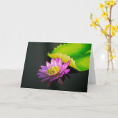 Het Wenskaart van Waterlily Kaart (Gele Bloem)