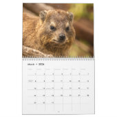 Het wilde leven van Zuid-Afrika 2025 Kalender (Mar 2026)