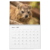 Het wilde leven van Zuid-Afrika 2025 Kalender (Mar 2027)